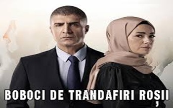 kizil-goncalar-boboci-de-trandafiri-rosii Episodul 31 Subtitrat in Romana